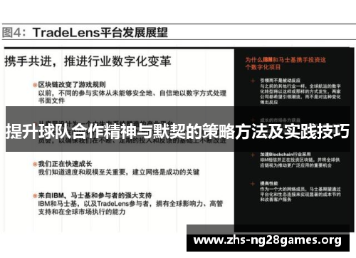 提升球队合作精神与默契的策略方法及实践技巧
